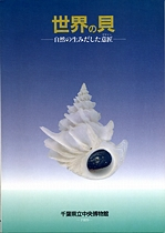 世界の貝 -自然の生みだした意匠-