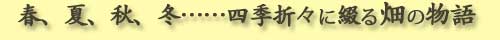 �t�A�āA�H�A�~�A�l�G�܁X�ɒԂ锨�̕���