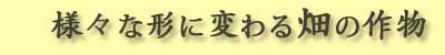 �l�X�Ȍ`�ɕς�锨�̍앨