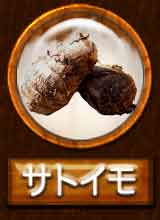�T�g�C���̎�q�̉摜