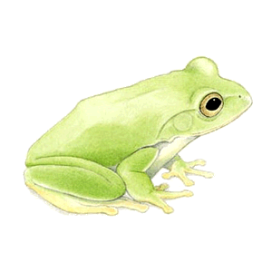 �V�����[�Q���A�I�K�G���̃C���X�g
