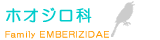 �z�I�W���Ȃփ����N