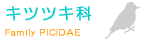 �L�c�c�L�Ȃփ����N