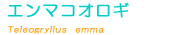 �G���}�R�I���M��