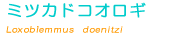�~�c�J�h�R�I���M��