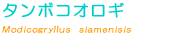 �^���{�R�I���M��