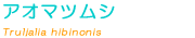 �A�I�}�c���V��