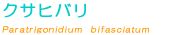 �N�T�q�o����