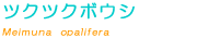 �c�N�c�N�{�E�V��