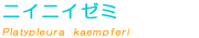 �j�C�j�C�[�~��