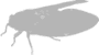 ���݂̃V���G�b�g