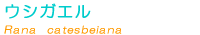�E�V�K�G����