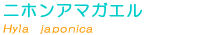 �j�z���A�}�K�G����