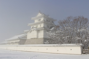 2018年1月23日撮影 (雪の関宿城)