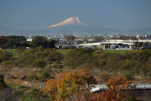 2017年11月22日撮影 (富士と紅葉)