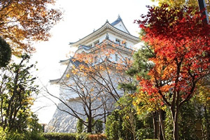 2017年10月30日撮影 (関宿城と紅葉)