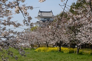 関宿城 裏