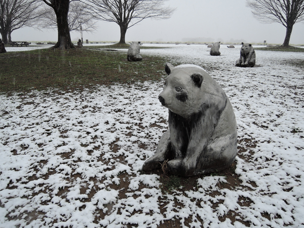 公園