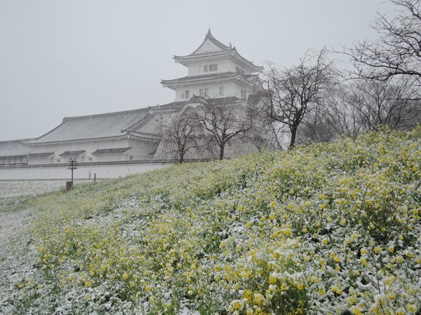 雪城1