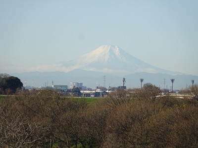 富士山