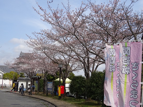 お城と桜